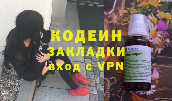 трава Белокуриха