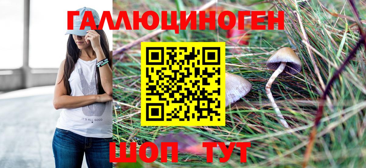 Псилоцибиновые грибы мицелий Гатчина