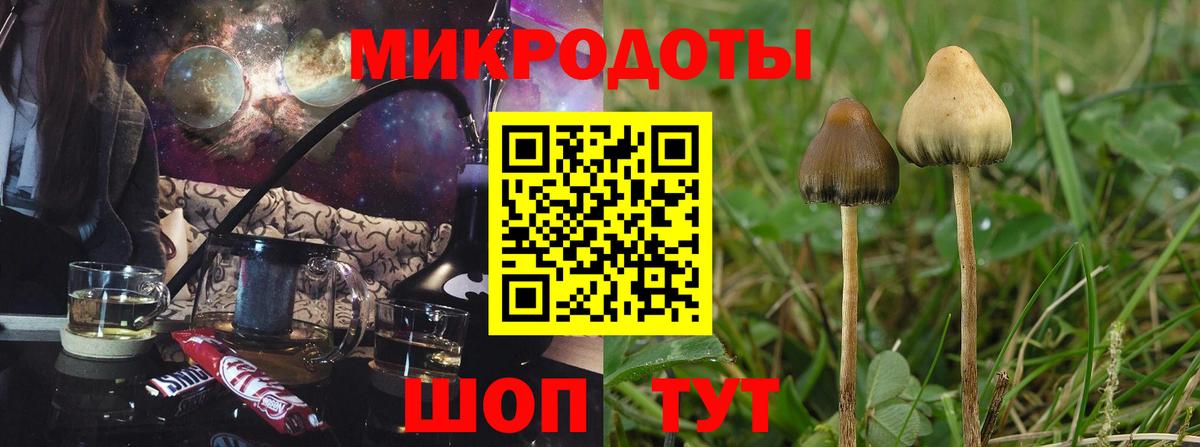Псилоцибиновые грибы мицелий  Вход с VPN  Псилоцибиновые грибы мицелий  Гатчина 