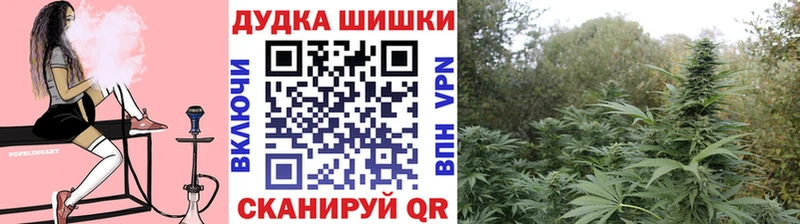 Каннабис семена наркошоп hydra сайт Гатчина